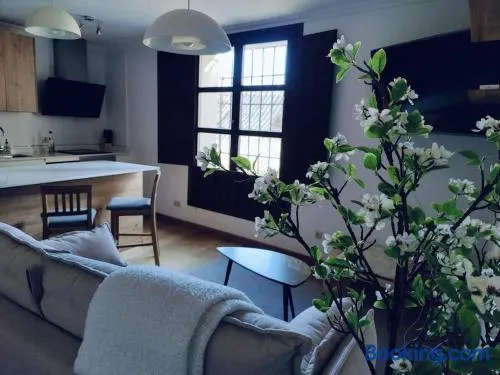 Apartamento Palacio de los Burgo - Image 1