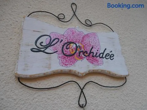 L'Orchidée - Image 1