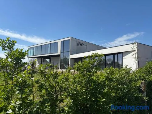 Wijndomein Leine - Image 1
