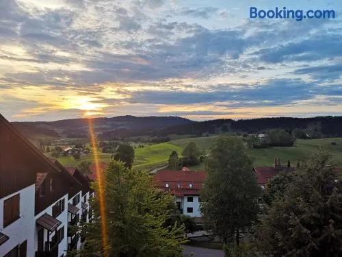 Ferienwohnung Sonnenblume mit Hallenbad und Sauna - Image 1