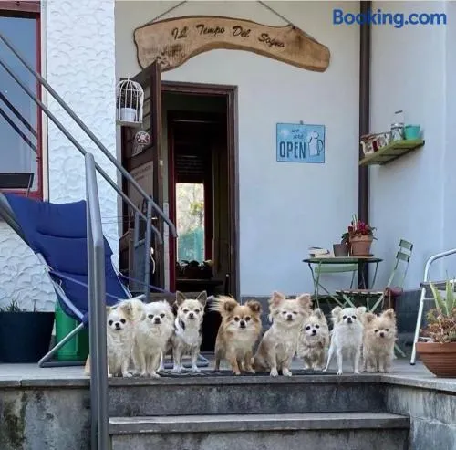 B&B Il tempo del sogno con cani e gatti Pet&Breakfast - Image 1