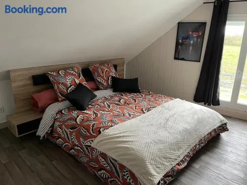 Logement indépendant à la campagne proche du Pôle européen du Cheval et Circuit des 24h du Mans - Image 1