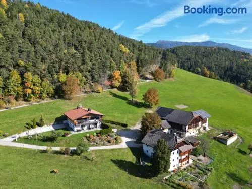 Appartament Eichnerhof - Image 1