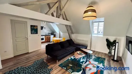RhizHome - Coeur de ville, appartement spacieux - Image 1