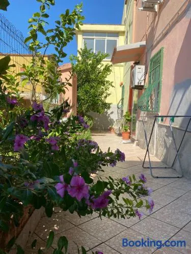 Lemon House - Image 1