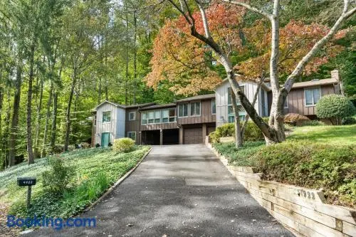 The Tree House in Alexandria VA, Washington DC - Image 1