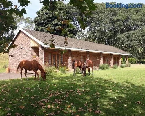 Chillifields Guesthouse - Image 1