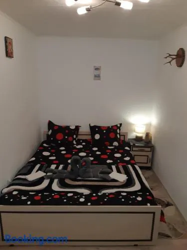 Florin Apartament - Image 1
