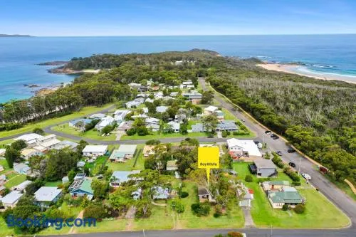 Kia-Ora - Image 1