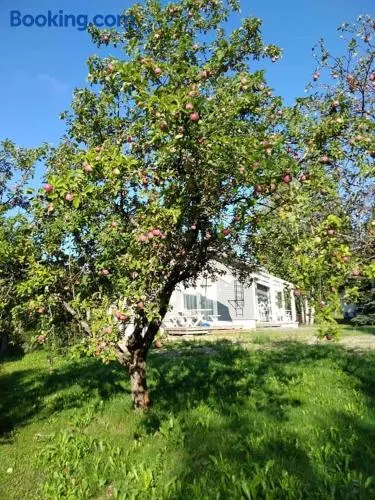 Mini house Imatra with own garden - Image 1
