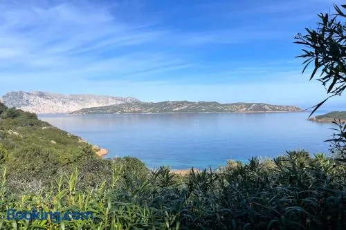 Punta Est - Trilo LENTISCHIO Giardino a 300m Mare - Image 1