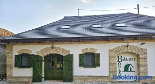 Bálint Borlak - Image 1