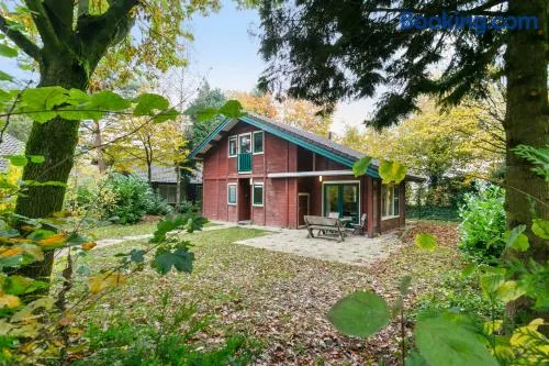 Vacation Home North Limburg - Image 1