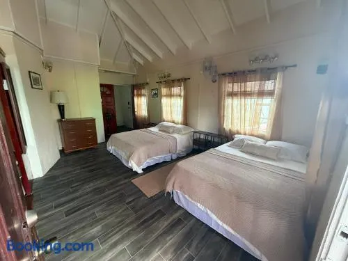Downtown Roseau Stay Near Ferry, Stadium & Bustops - Image 1