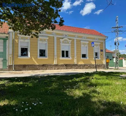 DANA GUEST HOUSE - Image 1