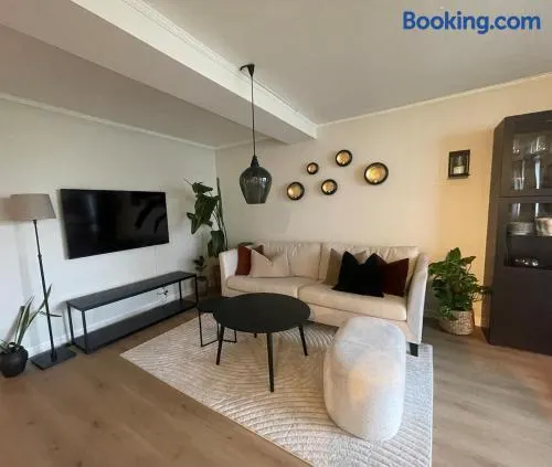 Newly renovated apartment for rent - Image 1