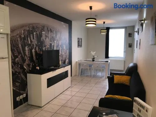 Sympathique logement en centre ville - Image 1