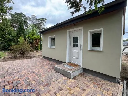 Ferienbungalow Am Meisengang - Image 1