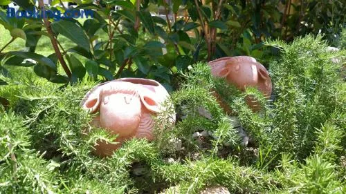 Le Pecore di Terracotta - Image 1