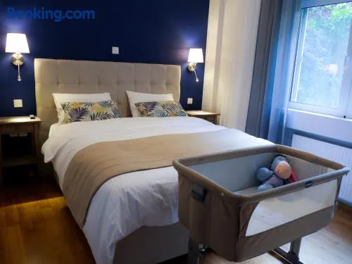 Garden Apartment next to the Mall -Private Parking - Image 1