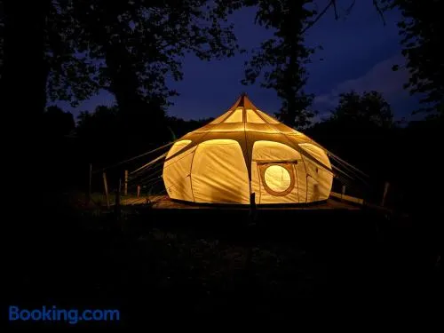 Nuit astrale en pleine nature - Image 1