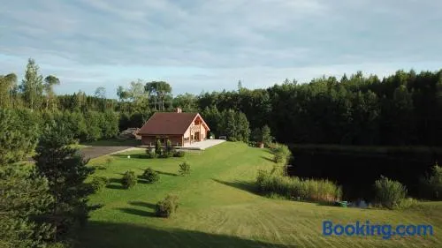 Bērzi - Image 1
