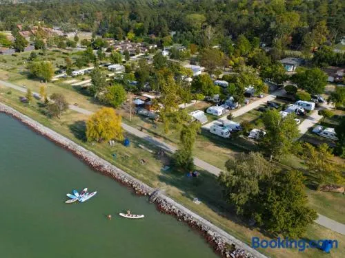 Aranypart Camping & Apartments - Image 1
