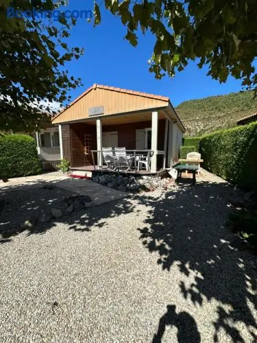 Les roses 49 - Image 1