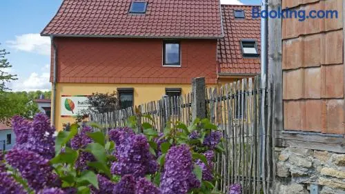 Hainich-Zeit - Image 1