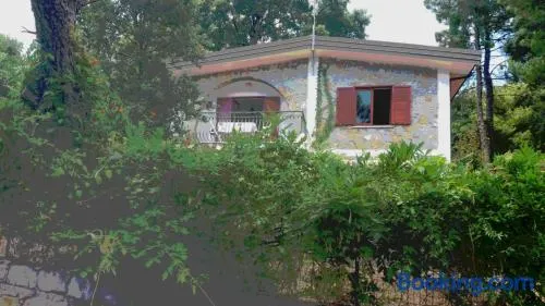 Villa Luisa sul Mare - Image 1