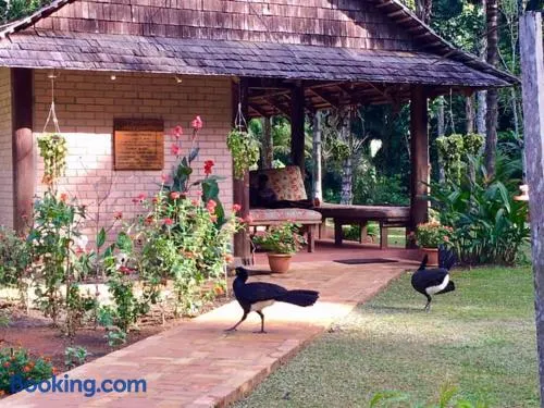 ATTA Rainforest Lodge - Image 1