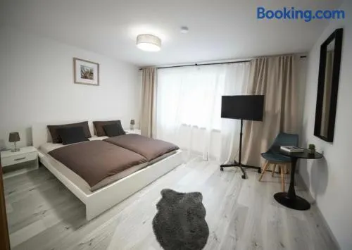 MUEL Apartment 1OG Bad Säckingen - Schweizer Grenze - Image 1