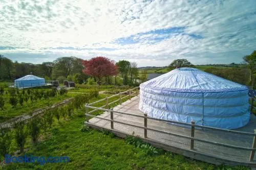 Glamping Yurts near Newquay - Image 1