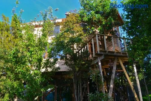 La Casa Del Árbol De Chiloé - Image 1