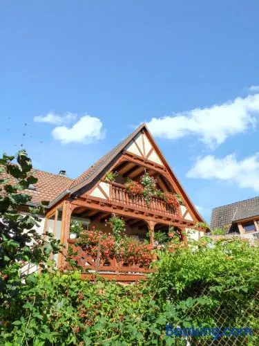 Maison de vacances avec barbecue, terrasse et jardin | Vue montagne - Image 1