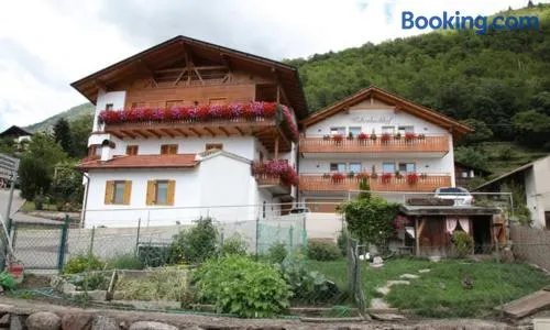 Ferienwohnungen Kaltenbachhof - Urlaub auf dem Biobauernhof - Image 1