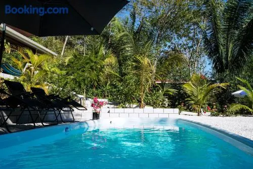 House in the palm forest - Image 1