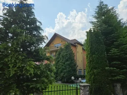 Vila Raluca - Image 1