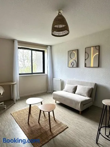 Le Cocon Griffon - parking, fibre, proche Toulouse - Image 1