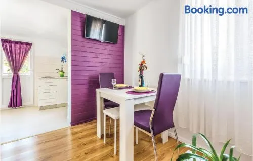 One-Bedroom Apartment In Ostrvica - Image 1