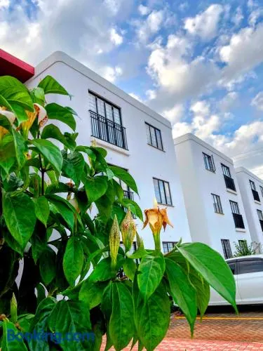 The House Beautiful, Tatu City - Image 1