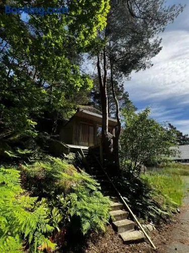 on the edge & in the bushes - Image 1