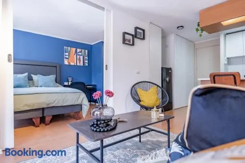 San Carlos rentals - Lastarria - Image 1