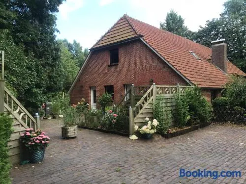 Ferienwohnung Gulfhaus, mit Sauna und großem Garten - Image 1