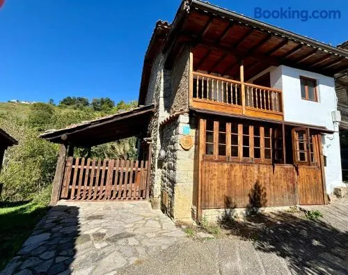 La Fontina de Tene - Image 1