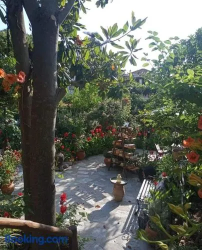 Stamatia's Garden - Image 1