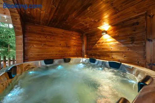Cabana Poiana Sânzienelor - Image 1