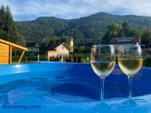 Casa Blu Kärnten - One Holiday in Three Countries - Cold&Hottub, Sauna - Piste - Image 1