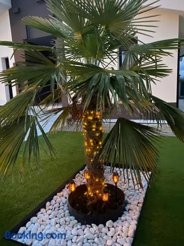 La Palmera del Sotillo - Image 1