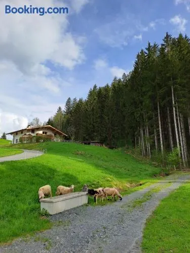 Ferienhaus Hansl - Image 1